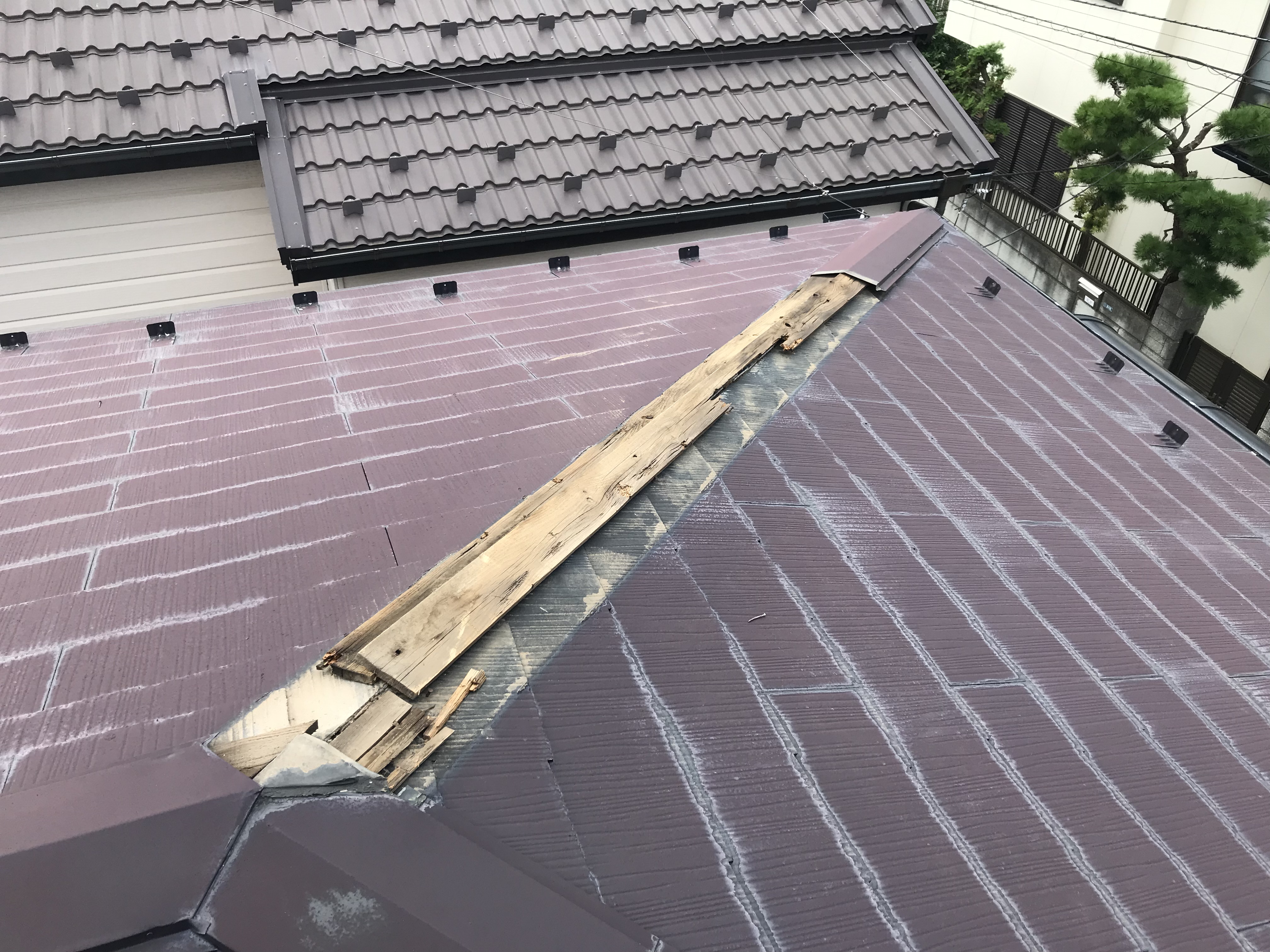 棟板金