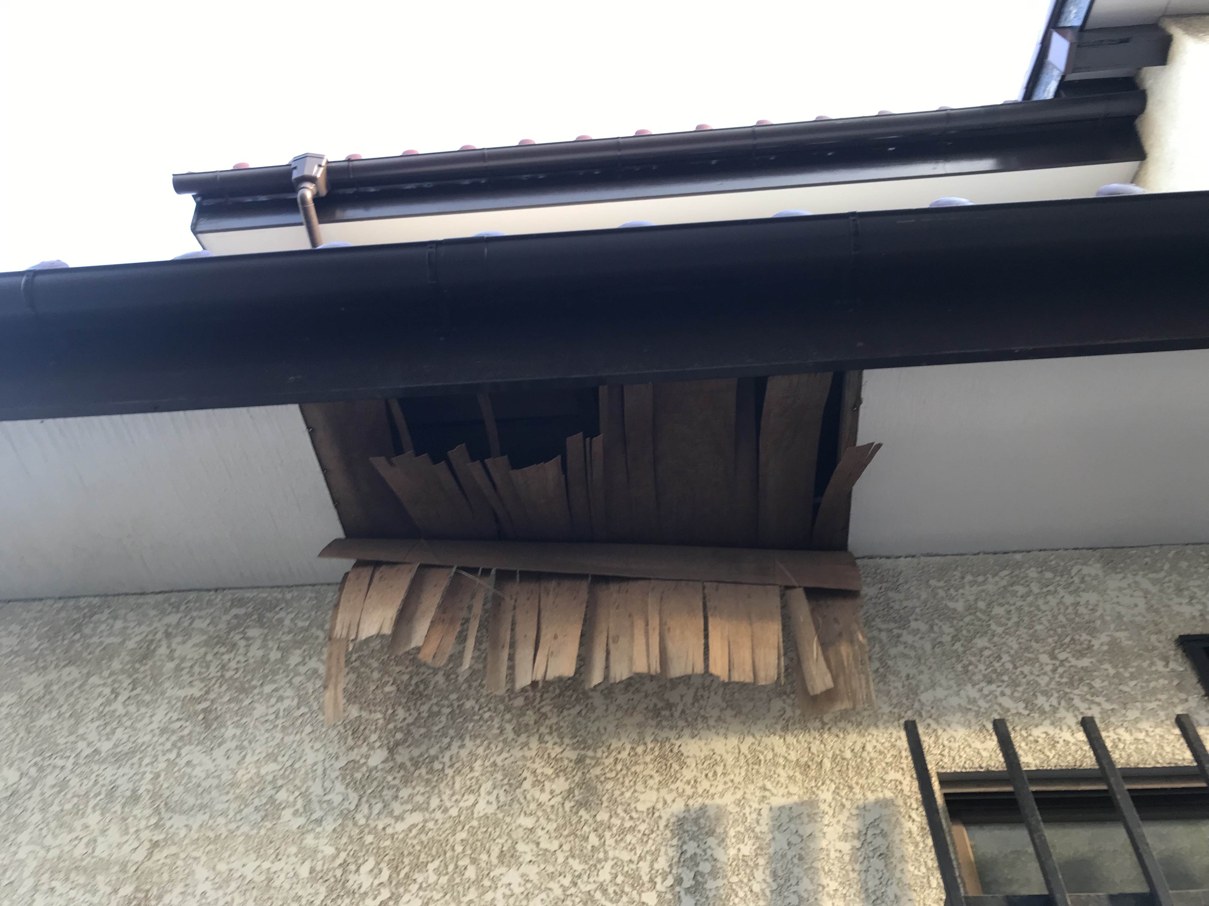 軒天