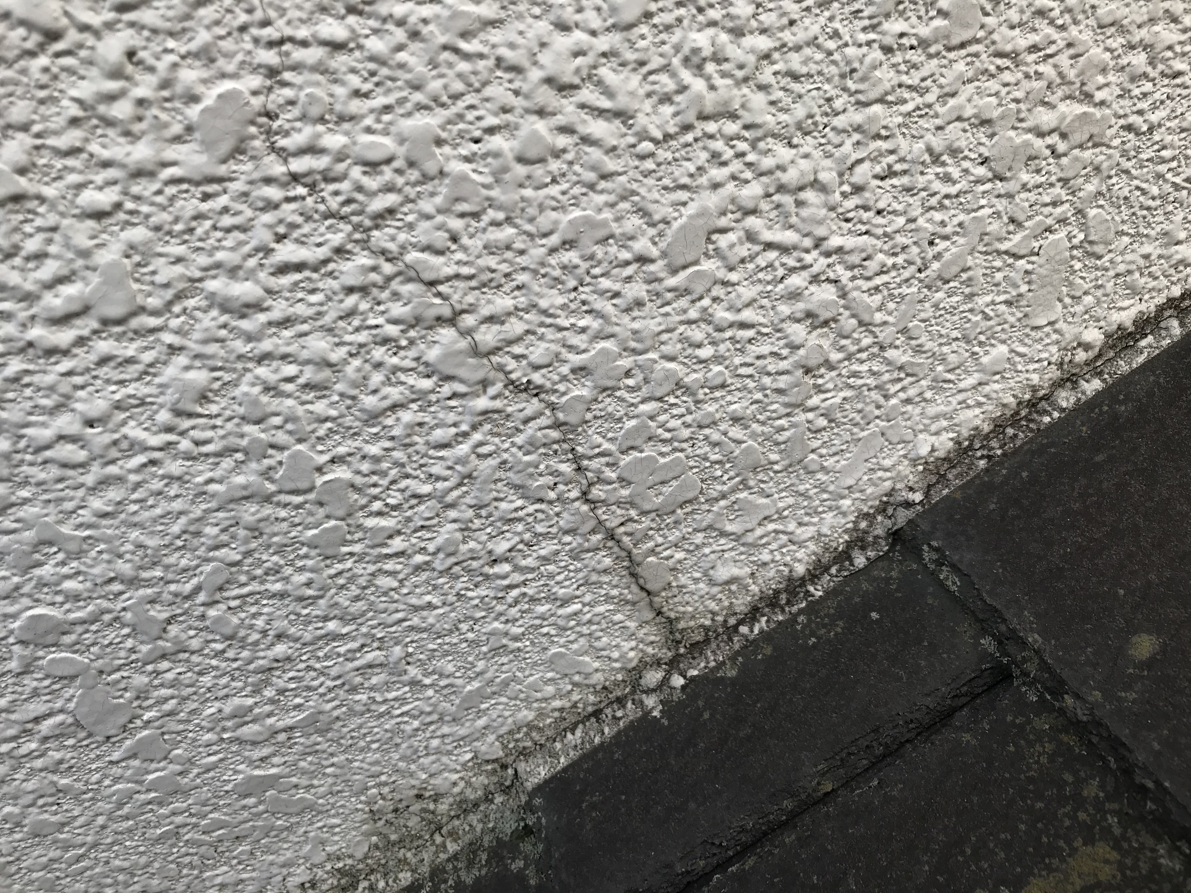 下屋根 下屋根