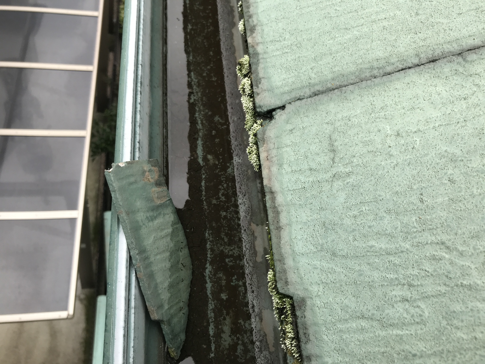 雨樋 雨樋