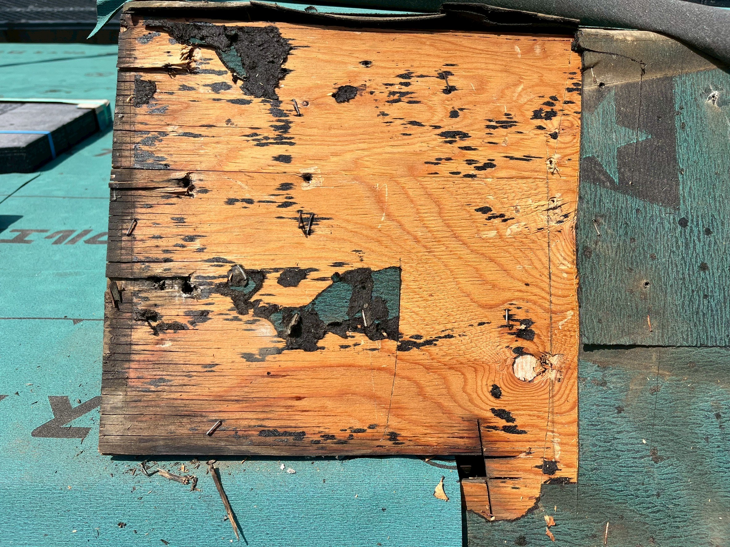 sւH@ޓP̖n̗򉻁@H