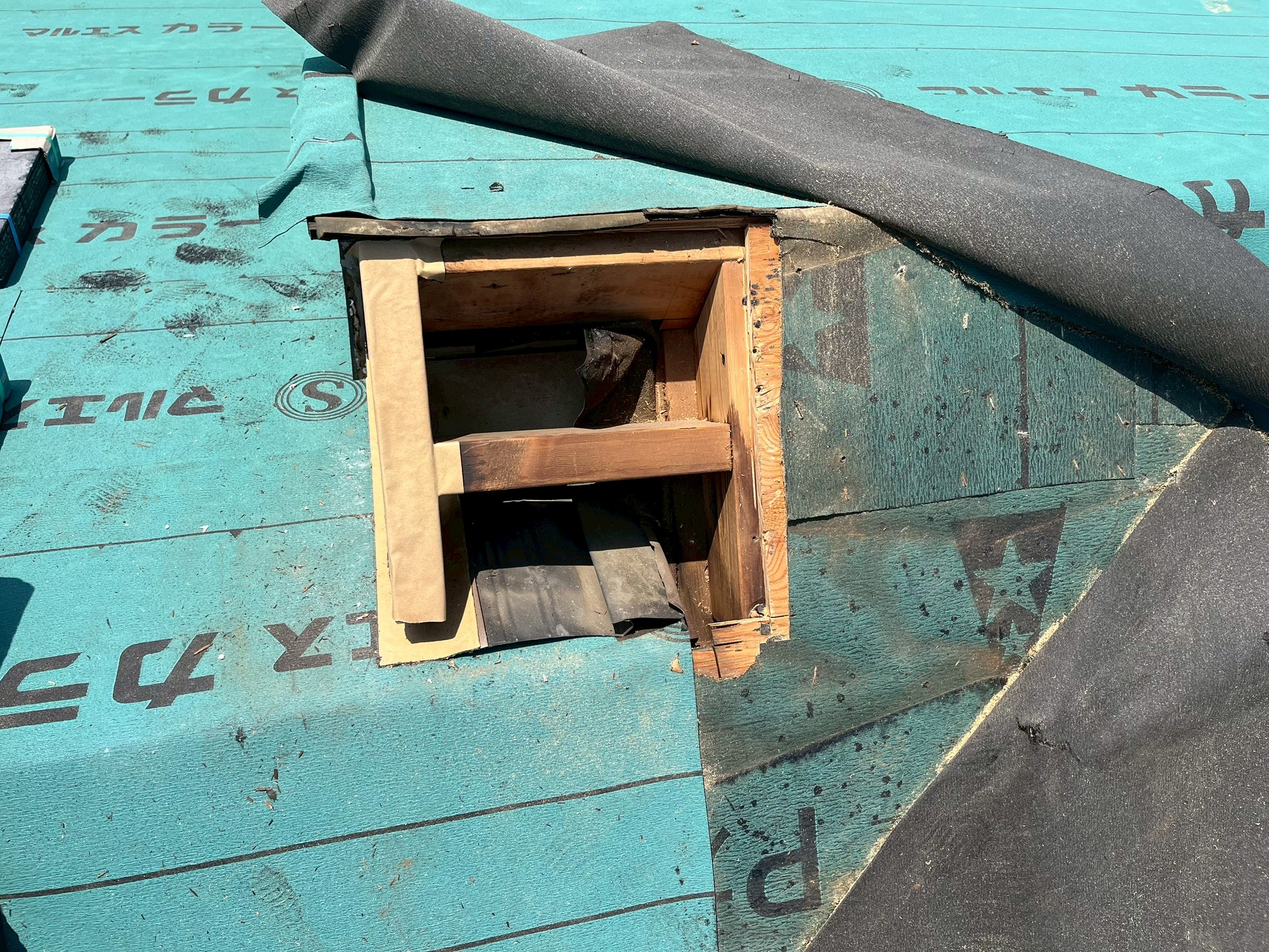 sւH@n̗򉻁@n@Iɒւ