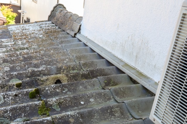 �������s�����H���X�@�e�B�[�G�����[�t�@�������@��