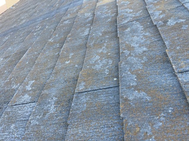 �������s�����H���e�B�[�G�����[�t�@�X���[�g�����@��