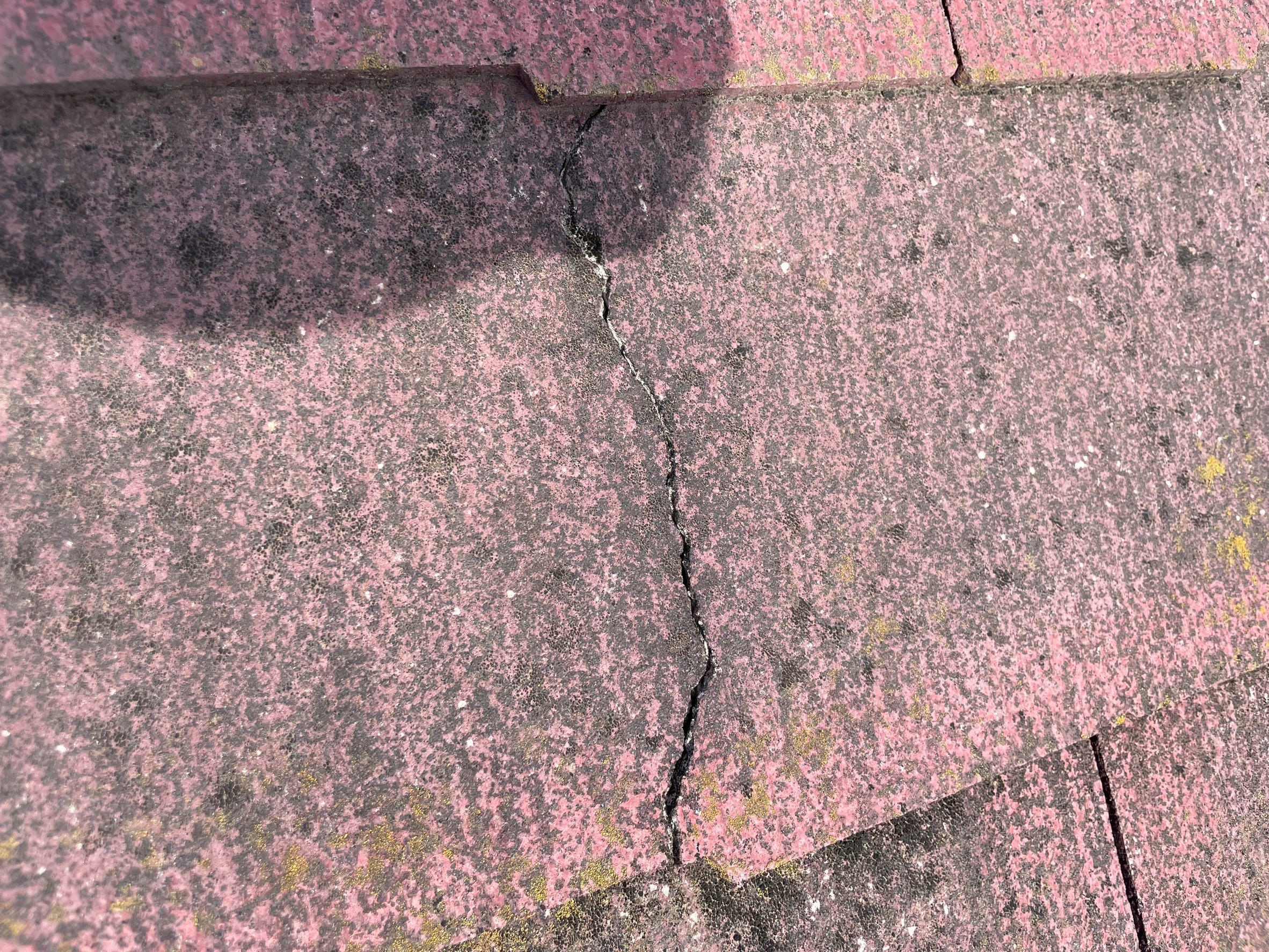 �������s�����H���e�B�[�G�����[�t�@�X���[�g�����@�Ђъ���@�r�t�H�[