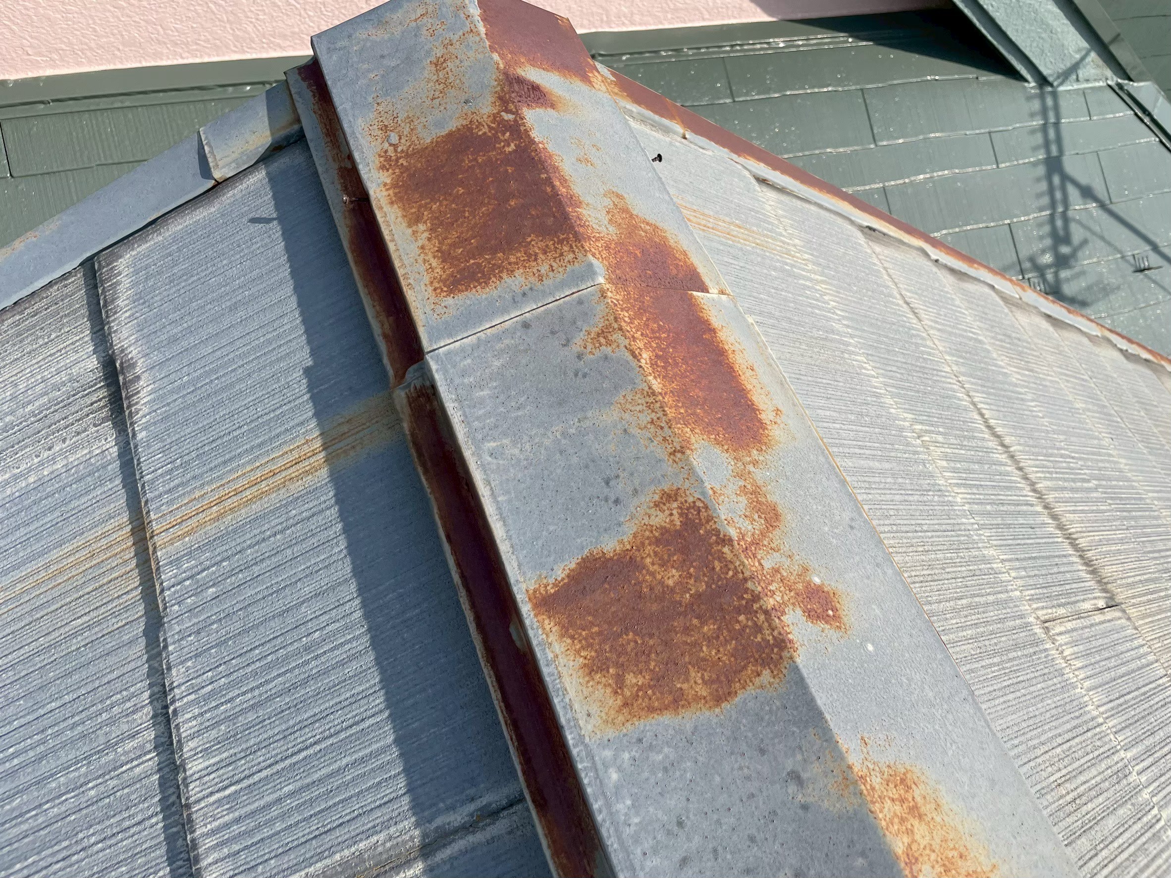 �������s�����H���e�B�[�G�����[�t�@�X���[�g�����@�F��