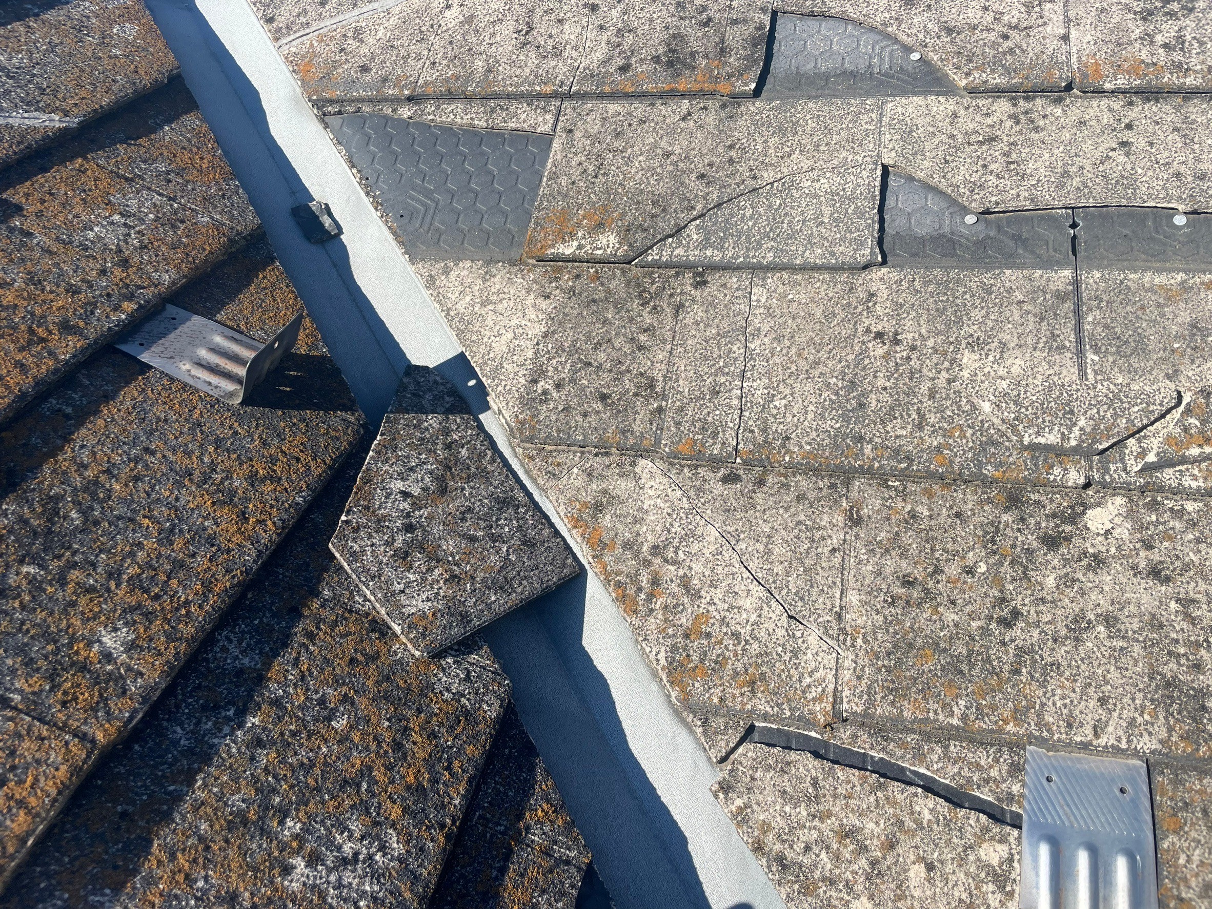 �������s�����H���@�Ђъ���@�X���[�g����������