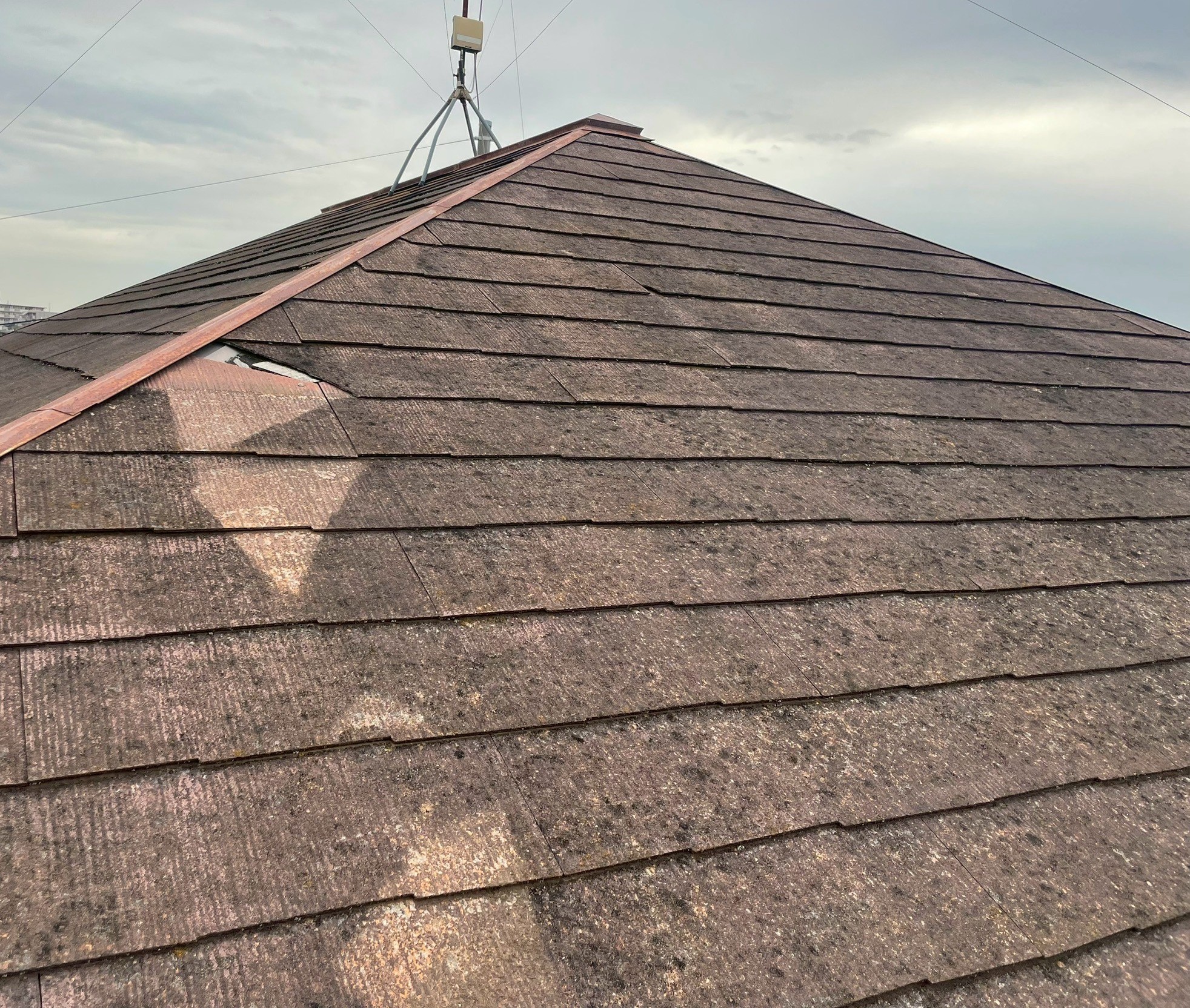 �������s�ꕔ�����j���A�����C���A��C