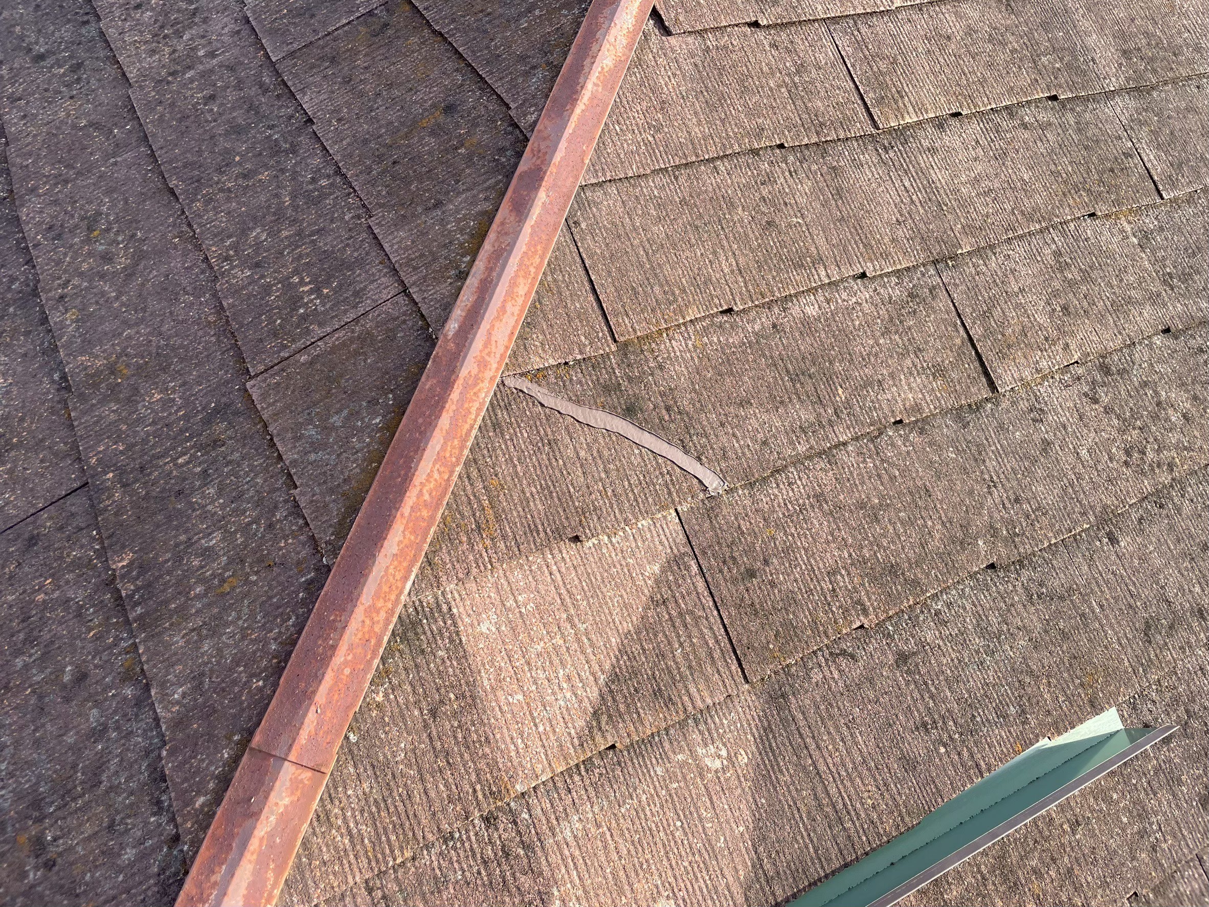 �������s�����H���@�ꕔ�����ޔj���@��C