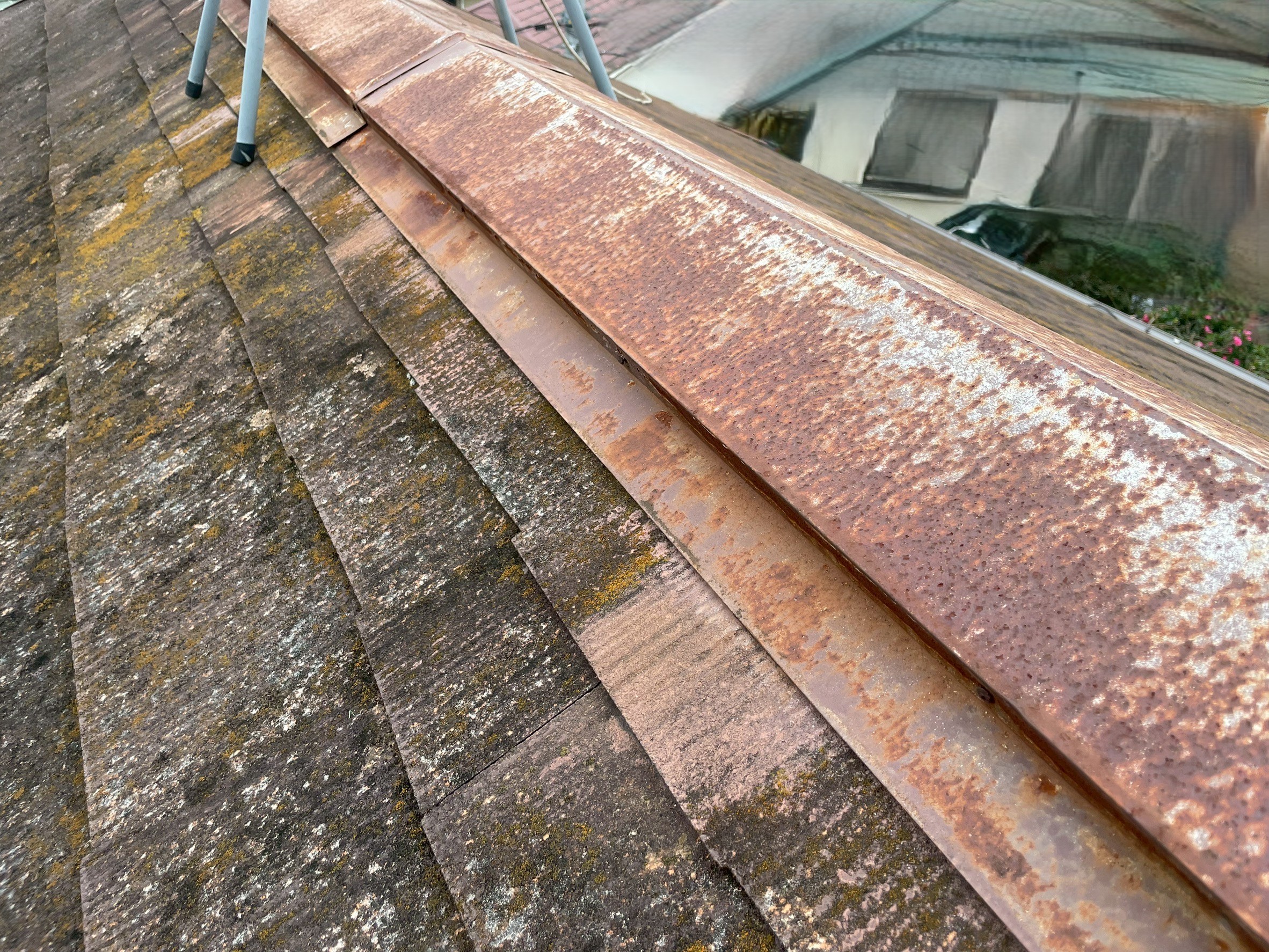 �������s�����H���@�����̎K�с@�����C��