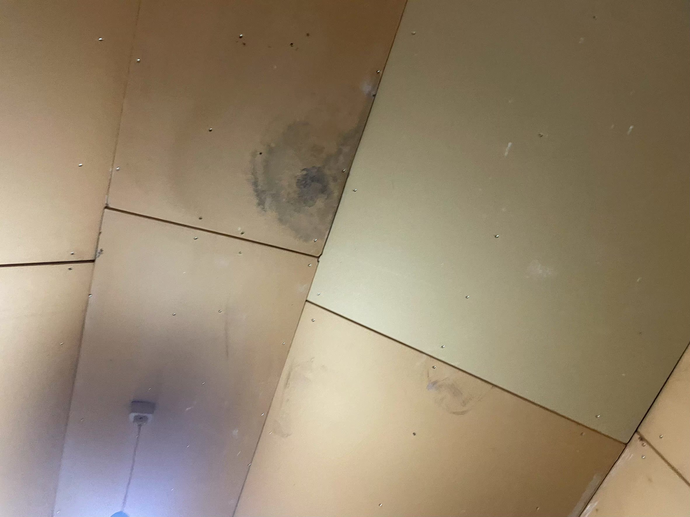 �V���s�@�J�R��@���꒲���@�V��V�~