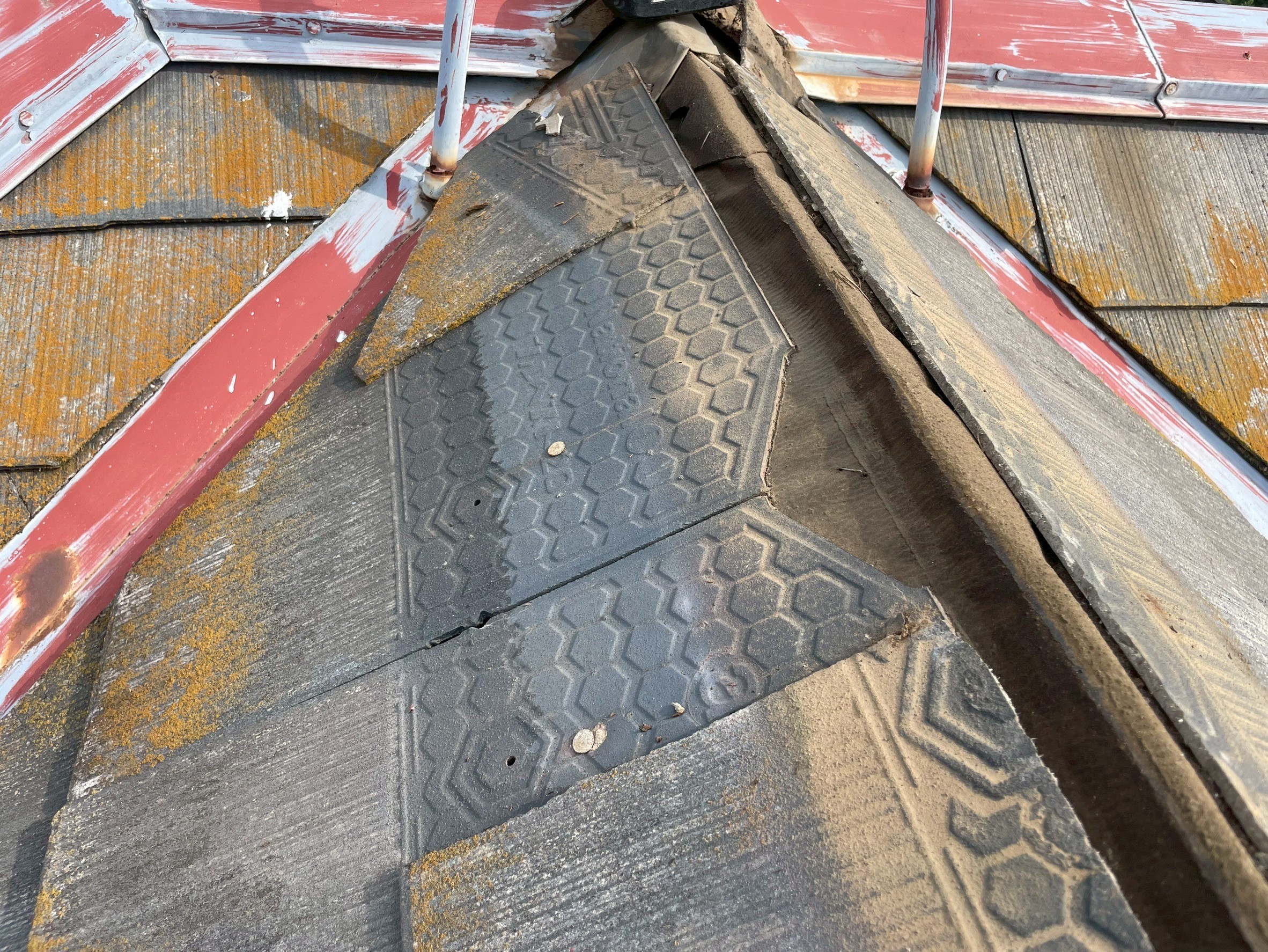 �J�R��C���@�����̓P��