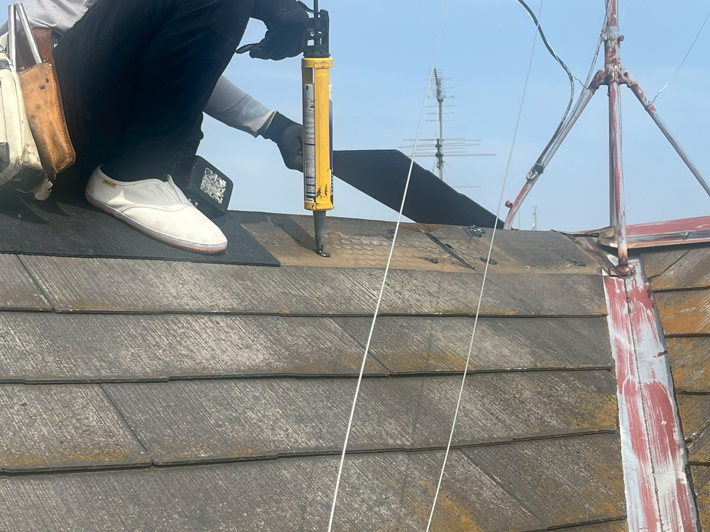 �R���j�A�������ޕ����C���@�J�R��C���@