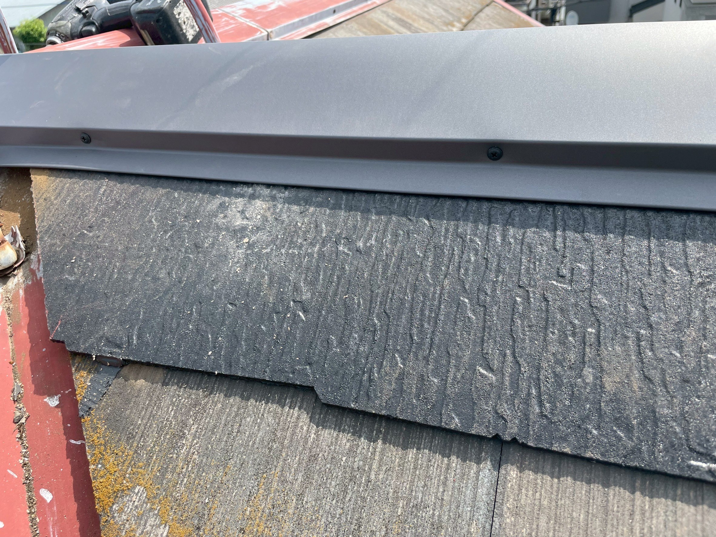 �����H���X�{�H�ʐ^�@�����C���@�R���j�A�������ޏC��