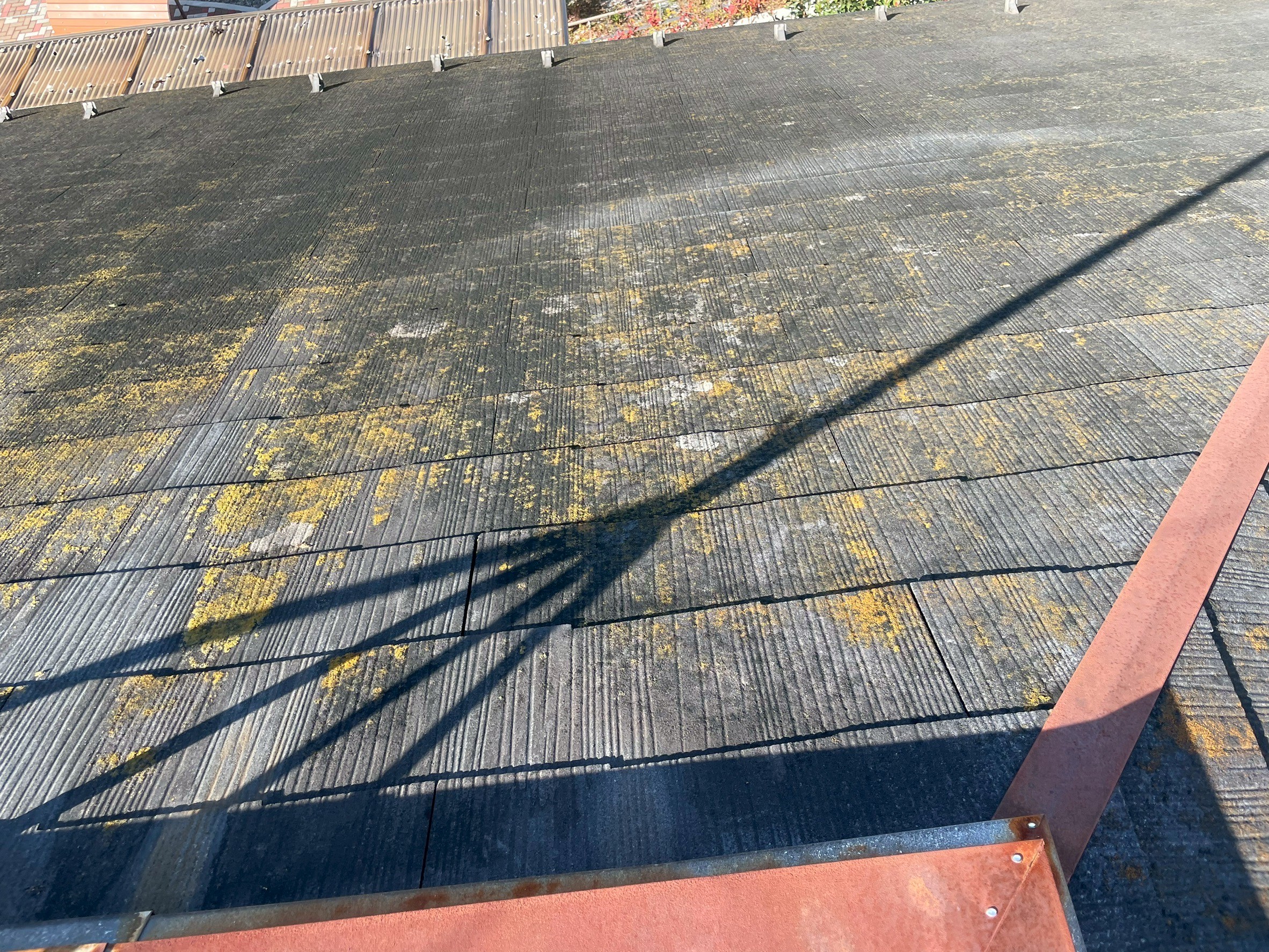 �������s�J�o�[�H�@�@�V���L�[�@�{�H�O