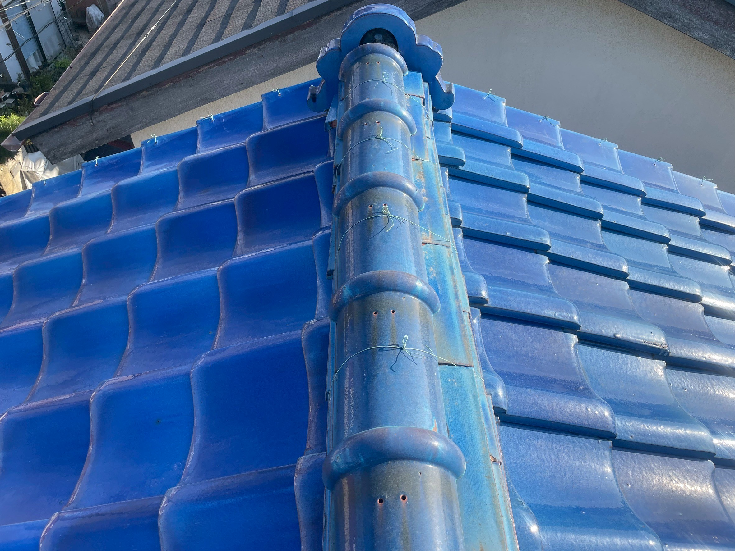 �n�k�⋭���̉e���ł��ꂽ����