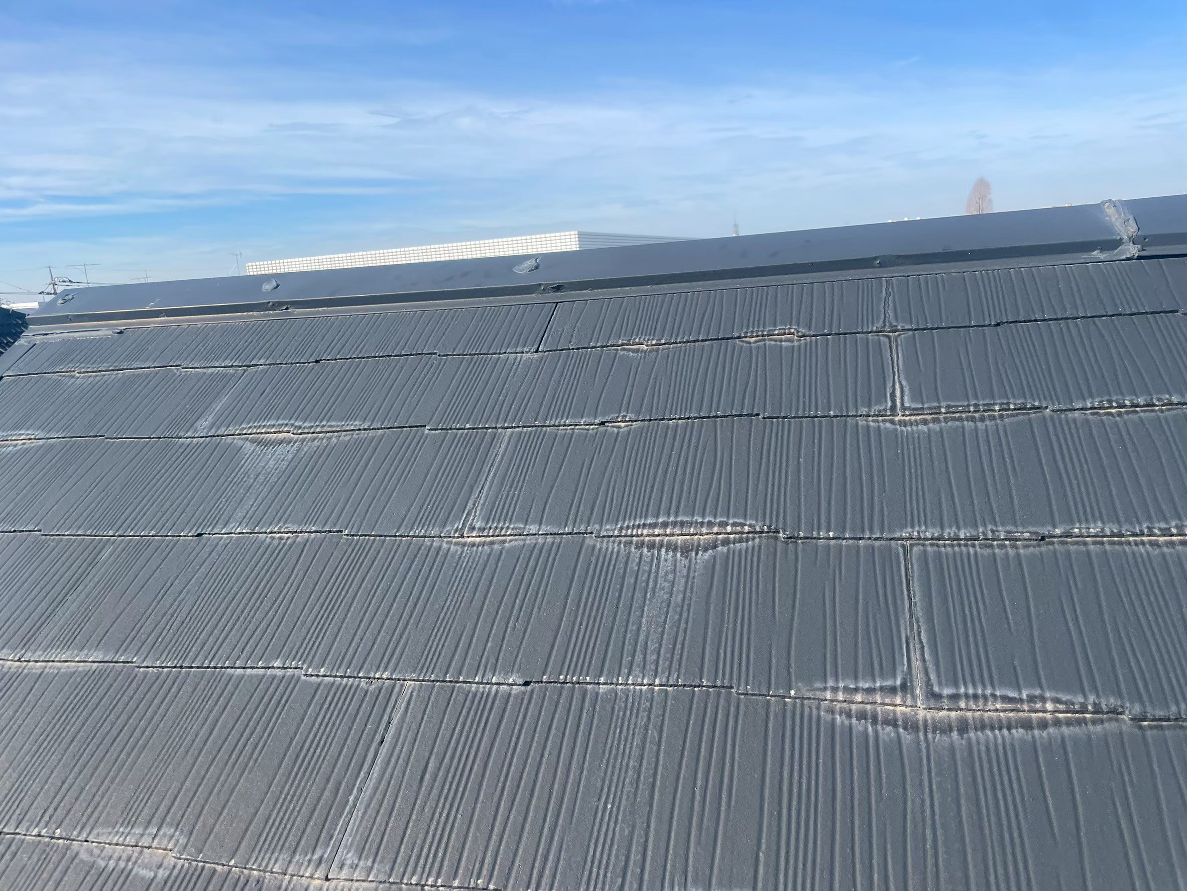 �������s�����H���@�J�o�[�H�@�@�{�H�O